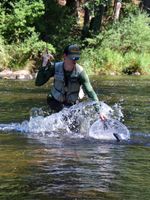 3de07087-06e0-4c95-ad75-47a822e19a66.jpeg