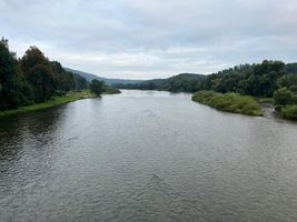 IMG_7850.jpeg