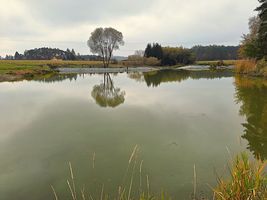 2.-Rybnik-Pribylak-22.10.24-2.jpg