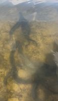 IMG_3048.jpeg