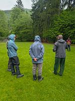 Messenger_creation_DBB461D8-B4A0-407A-8DC1-B8736D69446B.jpeg