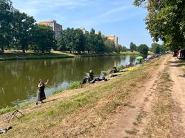 IMG_2583.jpeg