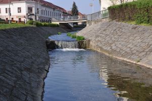 DSC_0043.JPG