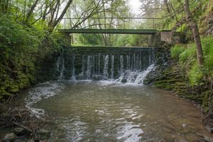 _MG_8058.jpg