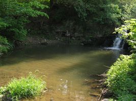 IMG_5550.JPG