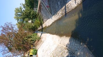 DSC_0989.JPG