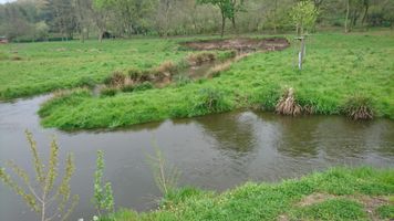 DSC_1254.JPG