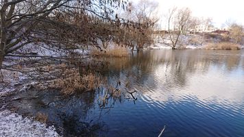 DSC_7184.JPG