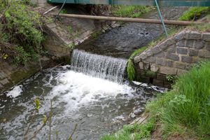 _MG_7939.JPG