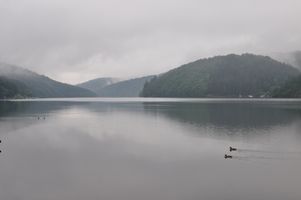 DSC_0227.JPG