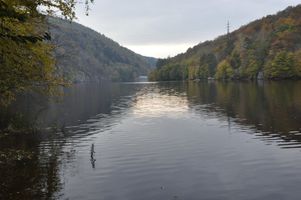 DSC_0043.JPG