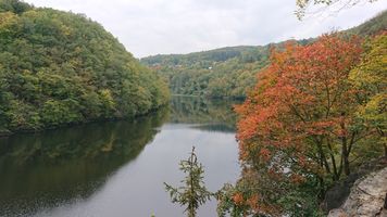 DSC_1076.JPG