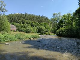 IMG20240607111534.jpg