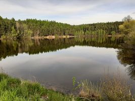 IMG-20230510-WA0010.jpg