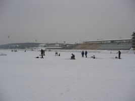 IMG_3311.JPG