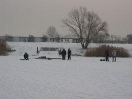 IMG_3312.JPG