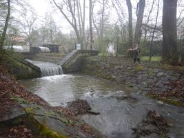DSCN9835.JPG