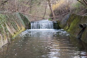 _MG_0736.jpg