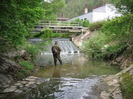 IMG_5495.JPG