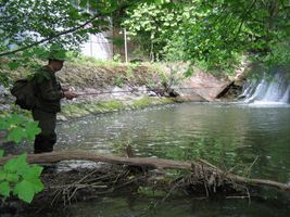 IMG_5483.JPG