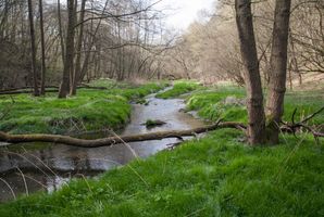 _MG_0788.jpg