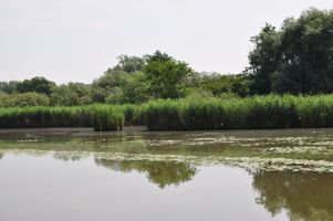 DSC_0016.JPG