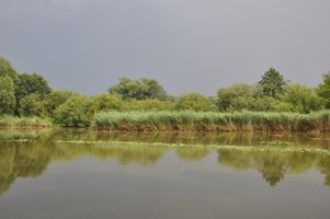 DSC_0073.JPG