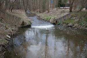 _MG_7675.JPG