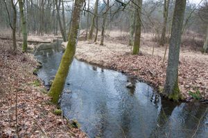 IMG_7541.jpg