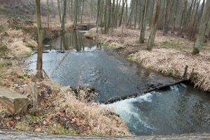 IMG_7539.jpg