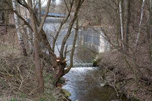 _MG_7678.JPG