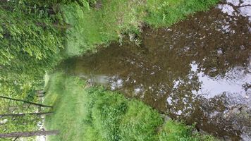 DSC_3250.JPG