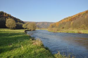 DSC_0288.JPG