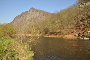 DSC_0291.JPG