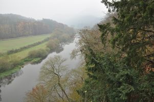 DSC_0332.JPG