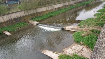 DSC_7768.JPG
