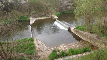 DSC_7775.JPG