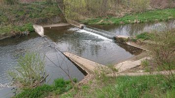 DSC_7776.JPG