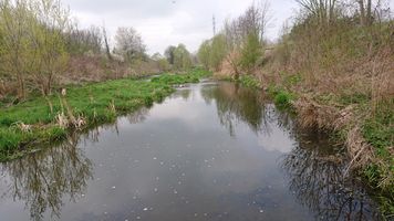 DSC_7777.JPG