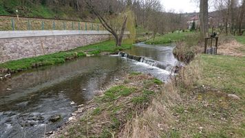 DSC_7514.JPG