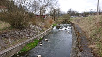 DSC_7518.JPG