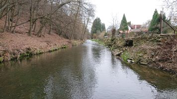 DSC_7525.JPG