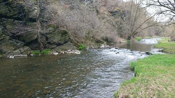 DSC_7526.JPG