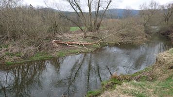 DSC_7543.JPG
