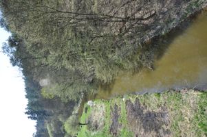DSC_0003.JPG