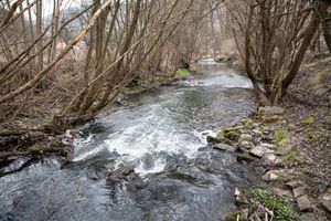 _MG_3777.jpg