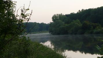 P1150776.JPG