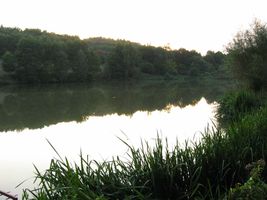 IMG_7902.JPG
