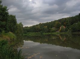 IMG_2615.JPG