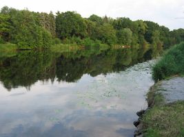 IMG_5662.JPG